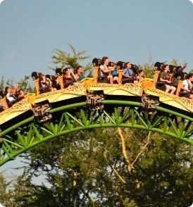 A green roller coaster with people riding on it.