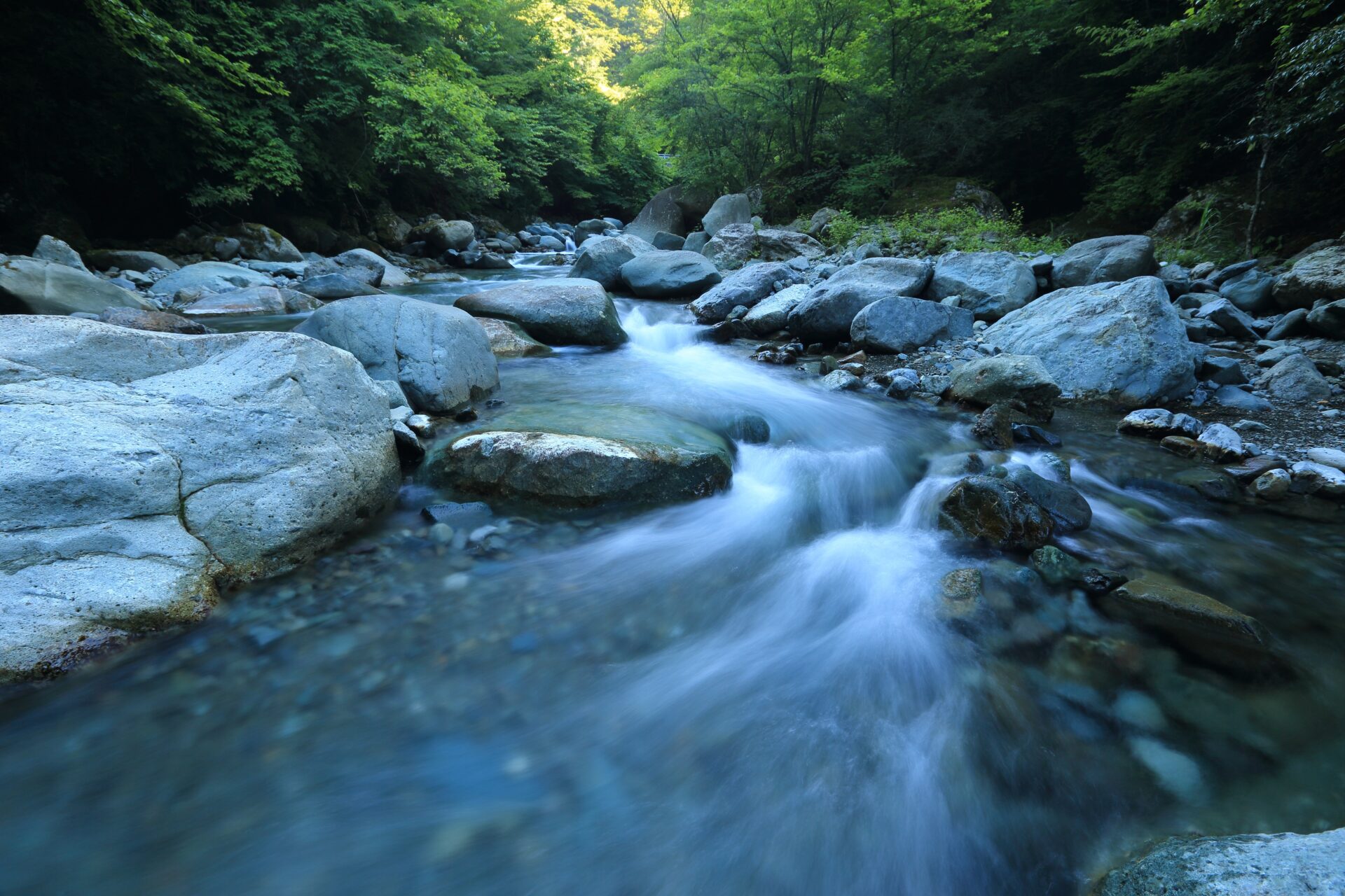A river running through a forest with rocks and boulders.